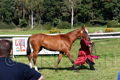 Par06_0469.jpg