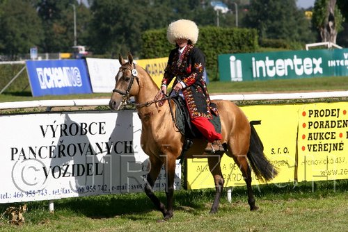 Par06_0472.jpg