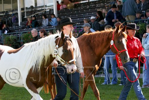 Par06_0494.jpg