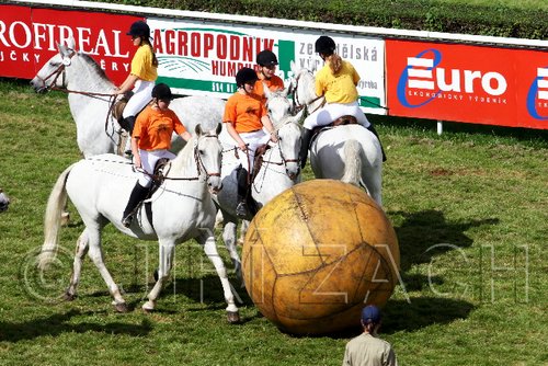 Par06_0539.jpg