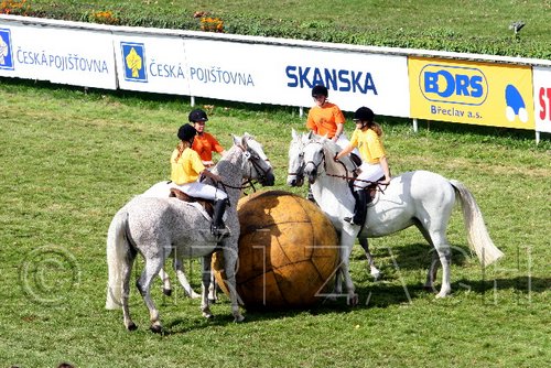 Par06_0540.jpg