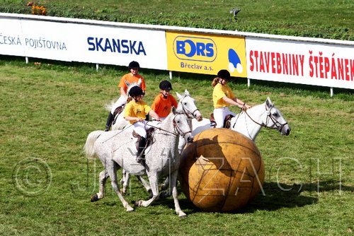 Par06_0542.jpg