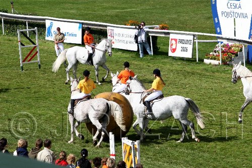 Par06_0545.jpg