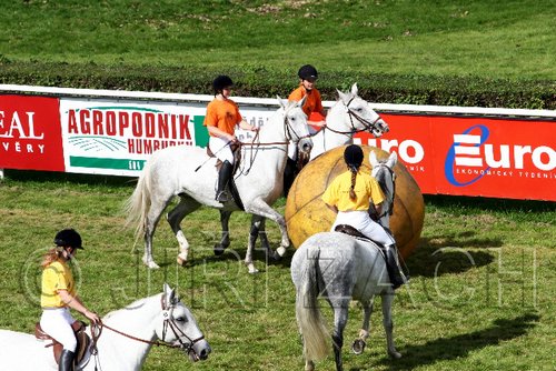 Par06_0547.jpg