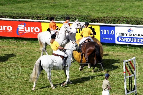 Par06_0548.jpg