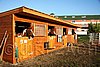 Par06_0275.jpg