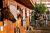 Par06_0279.jpg