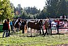 Par06_0280.jpg