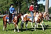 Par06_0313.jpg