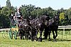 Par06_0390.jpg