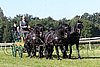 Par06_0392.jpg