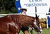 Par06_0400.jpg