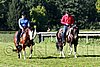 Par06_0410.jpg