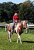Par06_0435.jpg