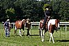 Par06_0448.jpg