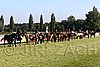 Par06_0458.jpg