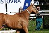 Par06_0470.jpg