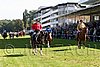 Par06_0473.jpg