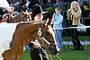 Par06_0490.jpg