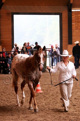PAS06_0229.jpg