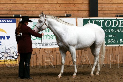 PAS06_0255.jpg