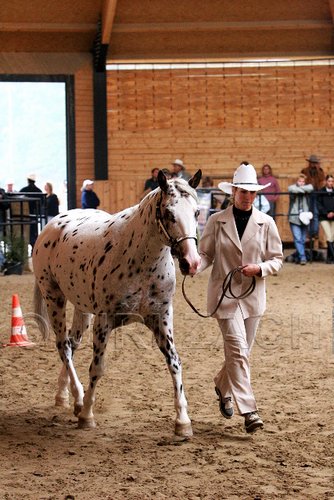 PAS06_0309.jpg
