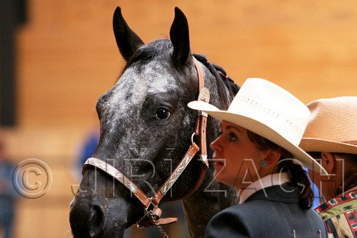 PAS06_0329.jpg