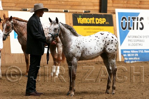 PAS06_0360.jpg