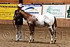 PAS06_0210.jpg