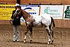 PAS06_0211.jpg