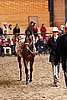PAS06_0214.jpg
