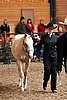 PAS06_0215.jpg