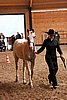 PAS06_0216.jpg