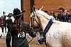 PAS06_0223.jpg