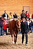 PAS06_0224.jpg