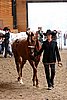 PAS06_0225.jpg