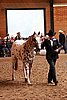 PAS06_0227.jpg