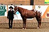 PAS06_0230.jpg