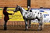 PAS06_0231.jpg
