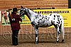 PAS06_0233.jpg
