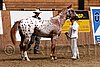 PAS06_0236.jpg