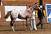 PAS06_0237.jpg