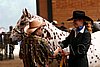 PAS06_0243.jpg