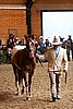 PAS06_0246.jpg