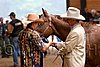 PAS06_0248.jpg