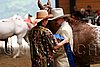 PAS06_0249.jpg