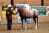 PAS06_0253.jpg