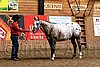 PAS06_0254.jpg