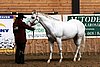 PAS06_0255.jpg