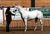 PAS06_0256.jpg
